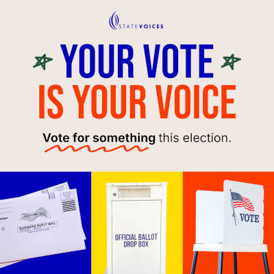 Your Vote Is Your Voice