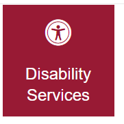 Disability Services Tile